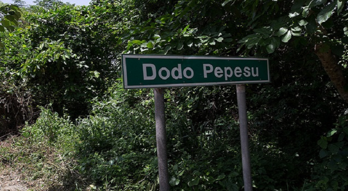 Dodo Pepesu-Nkwanta road develops potholes